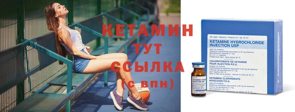 соль ск Новозыбков