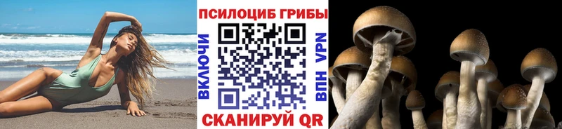 Галлюциногенные грибы Magic Shrooms  продажа наркотиков  Боровск 